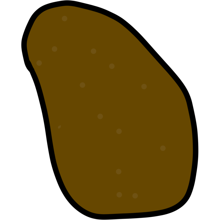  a lumpy brown potato with slightly lighter brown dots.